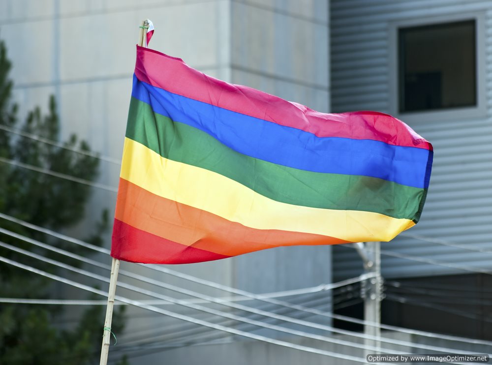 New Polls Show Growing Momentum for Gay Marriage in Virginia, Michigan and Arizona